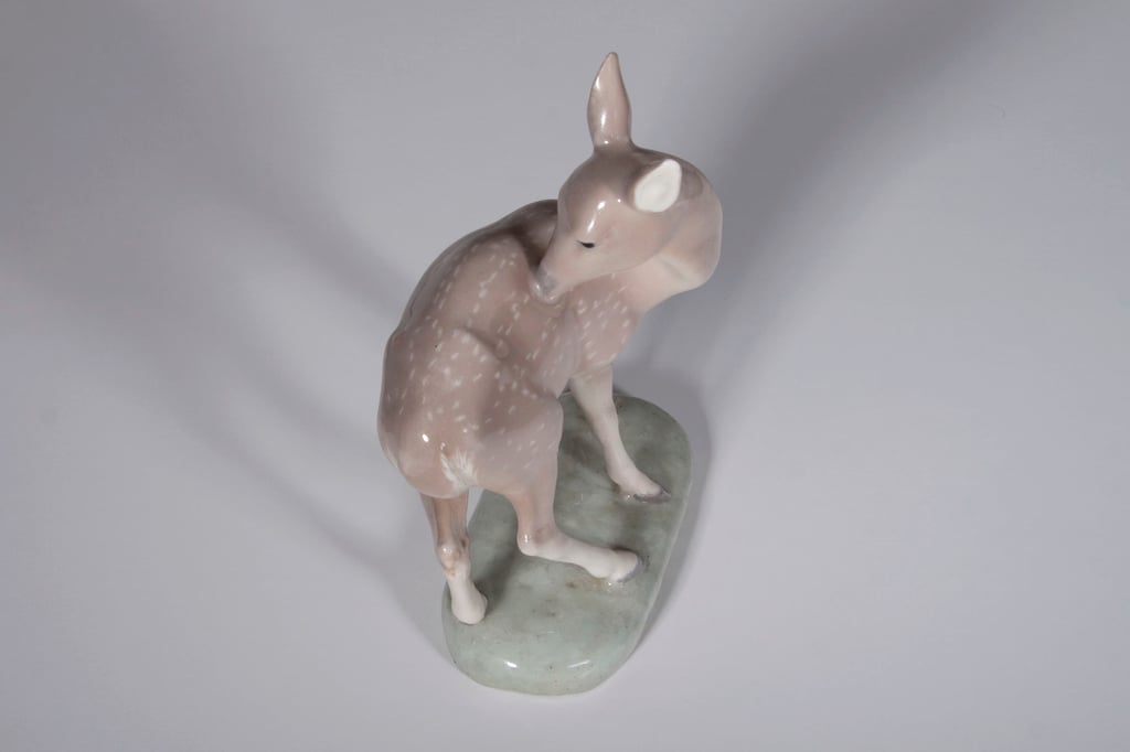 Deer