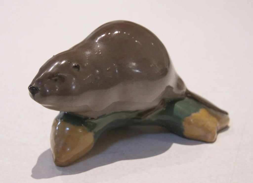 Beaver