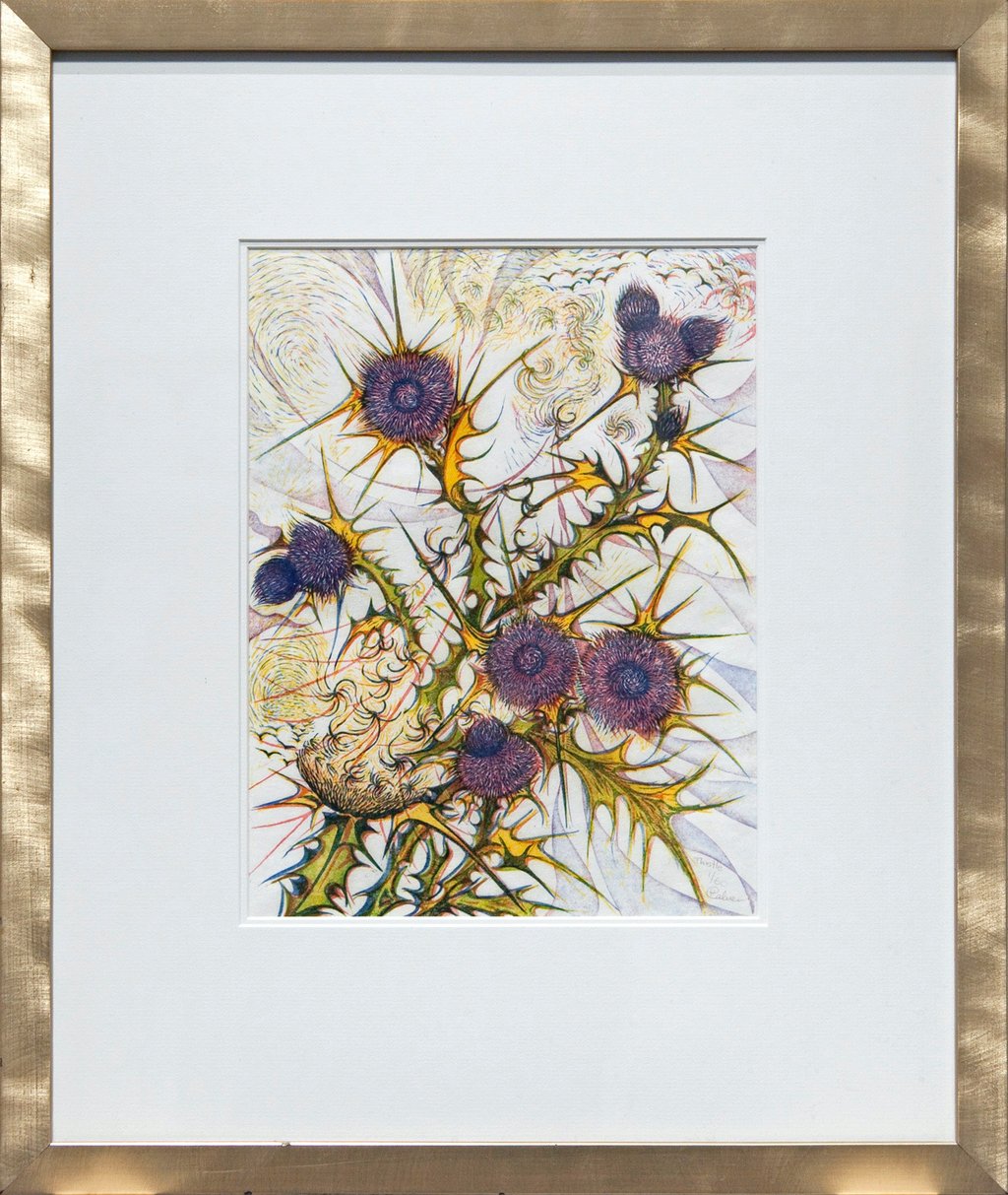 Thistle