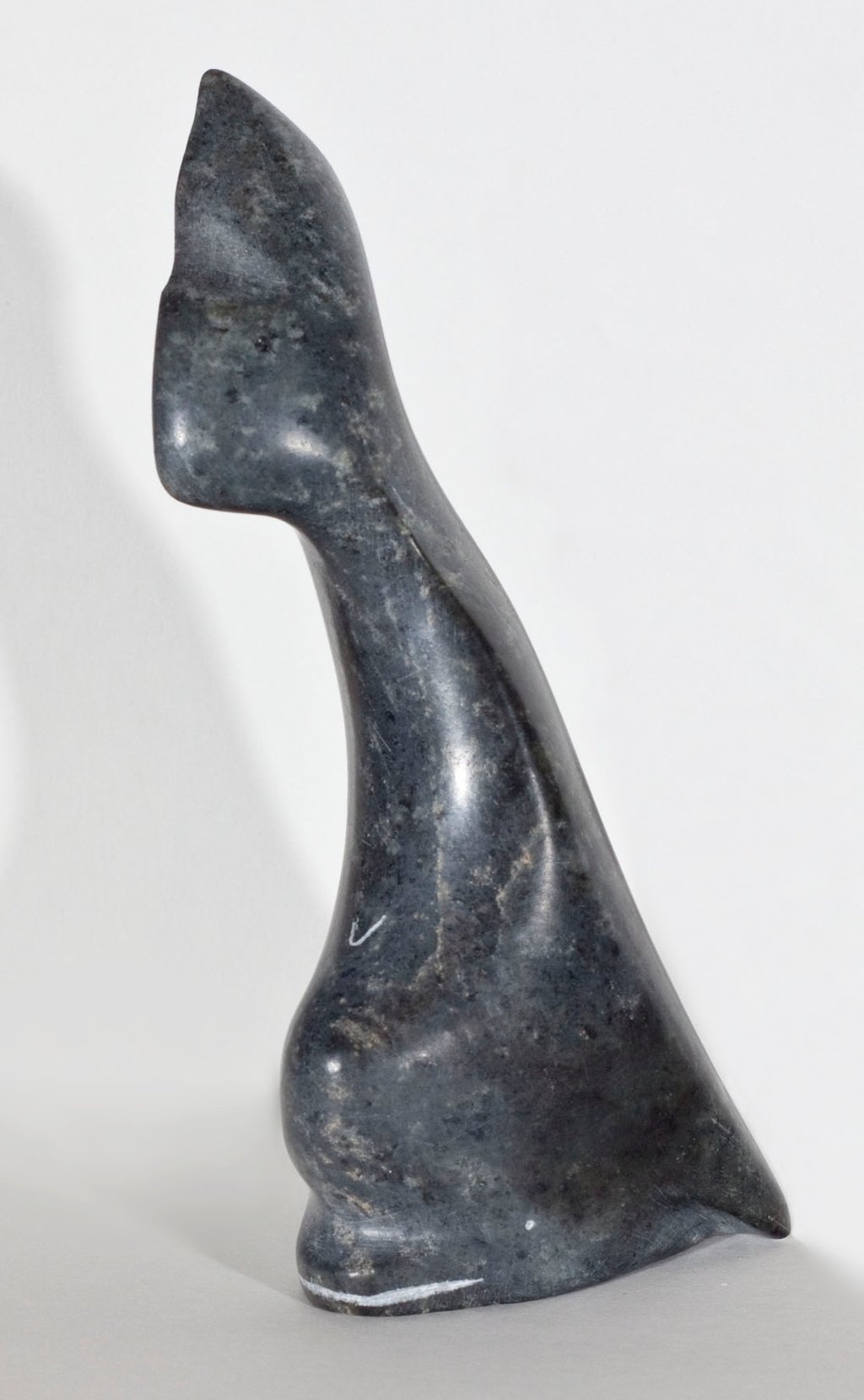Beluga