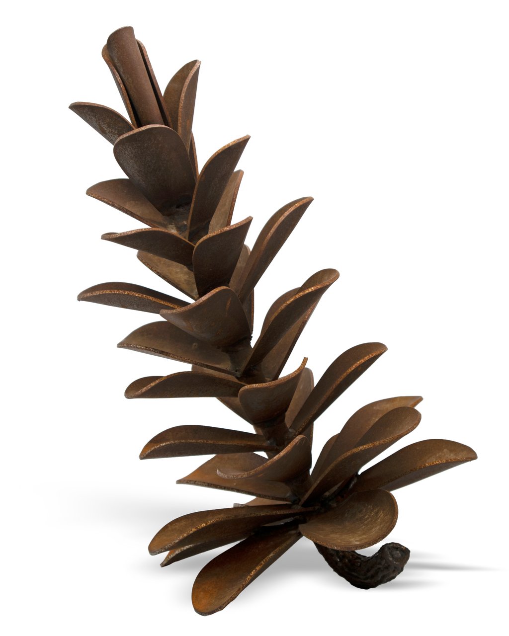 Pine