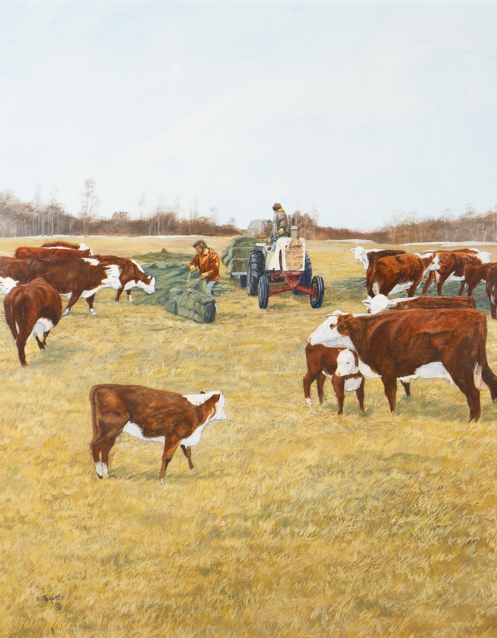 Cattle