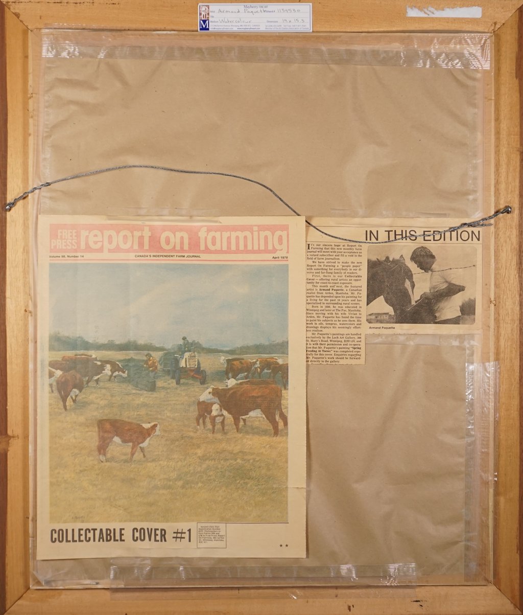 Cattle