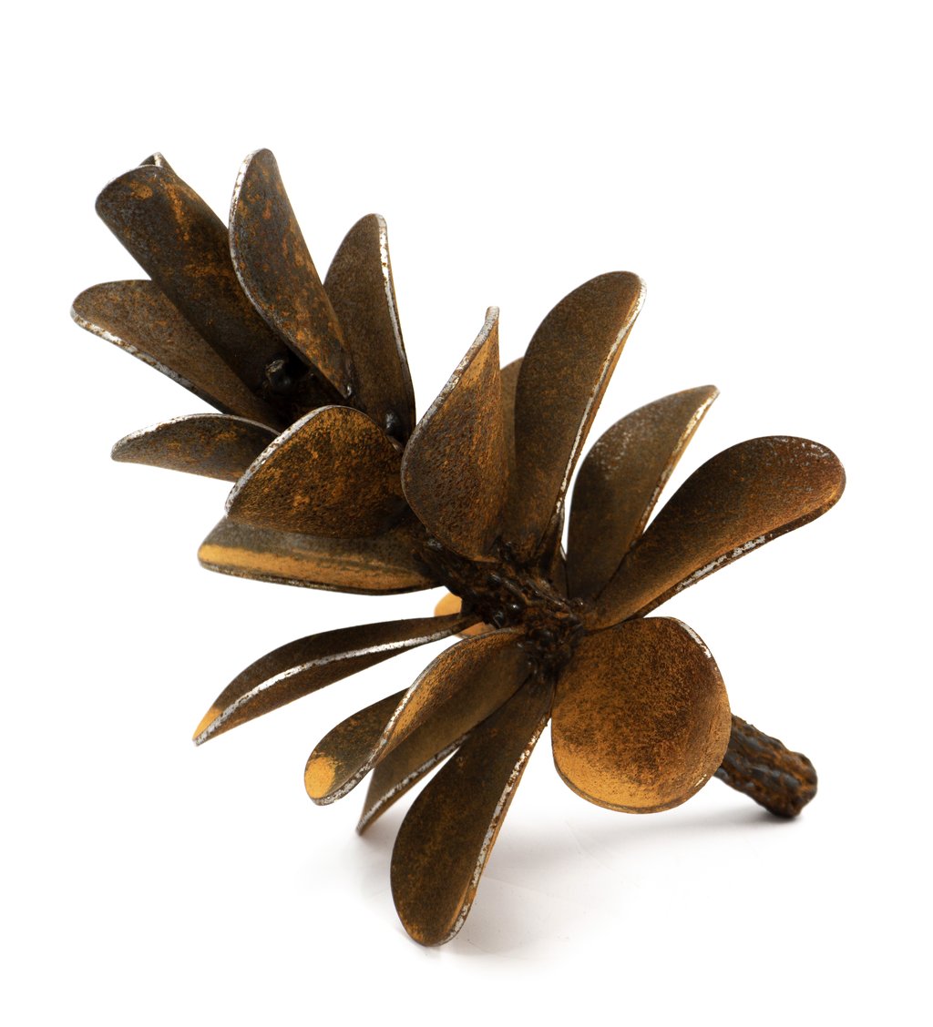 Pinecone