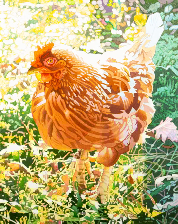 Henrietta