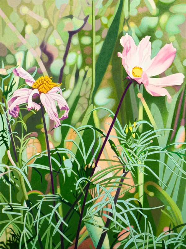 Echinacea