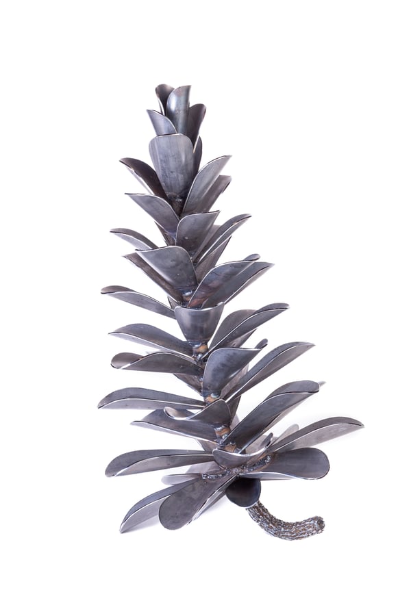 Pine