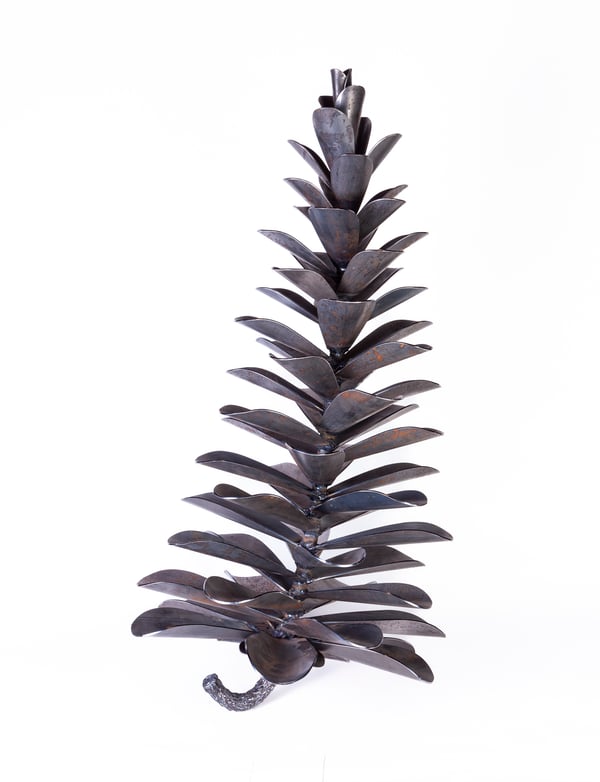 Pine