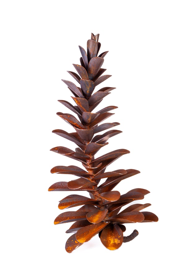 Pine