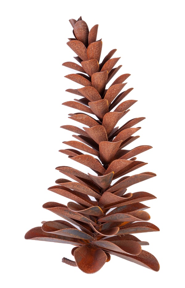 Pine