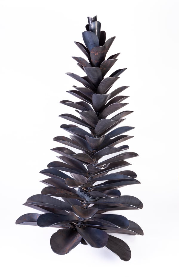 Pine