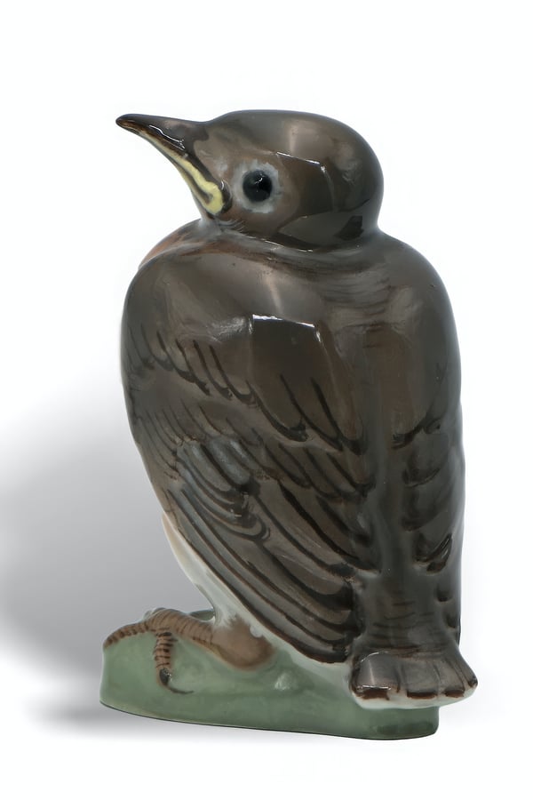 Robin