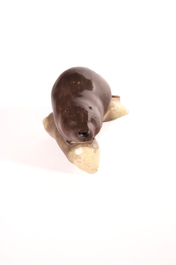 Beaver