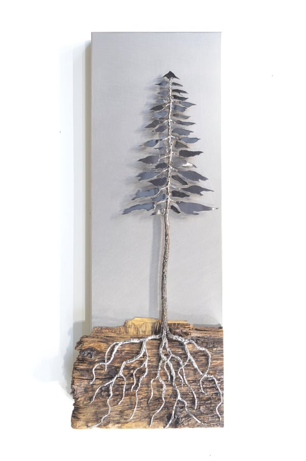 Rooted