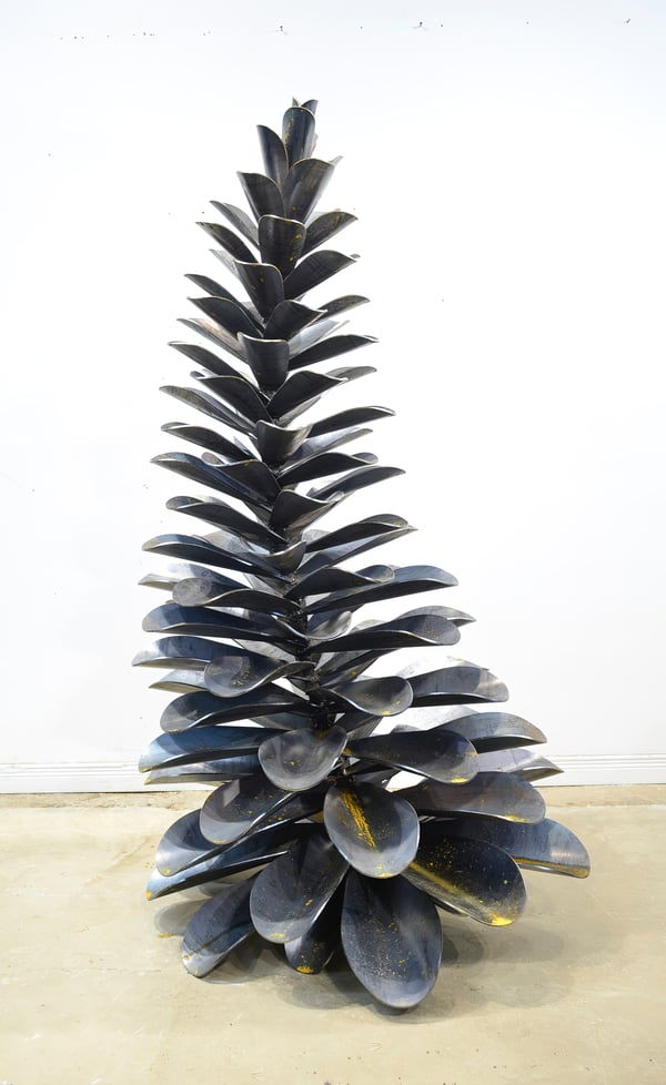 Pine