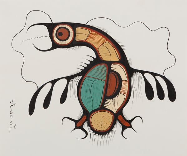 Thunderbird