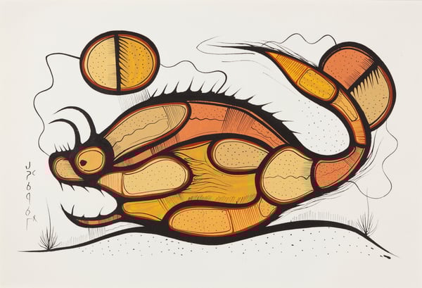 Fish