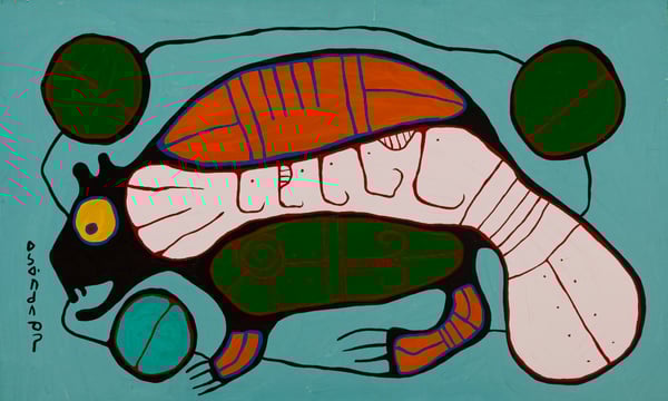 Beaver