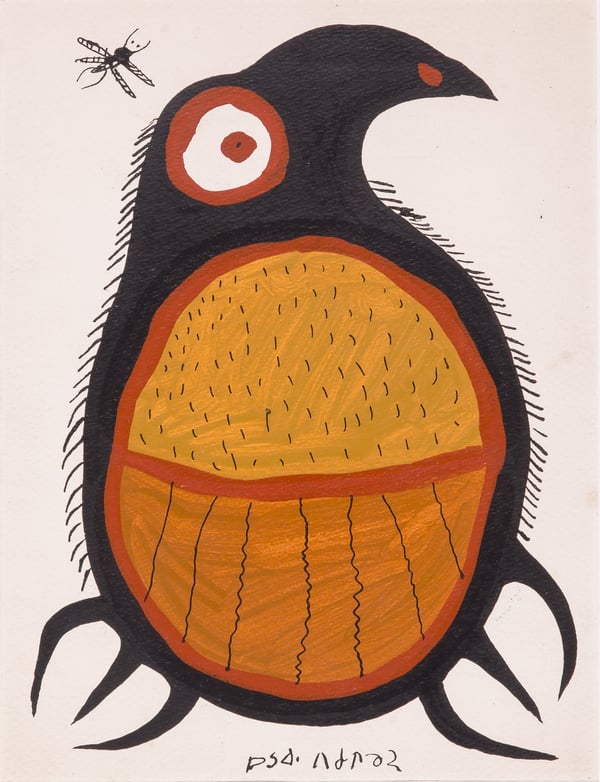 Owl
