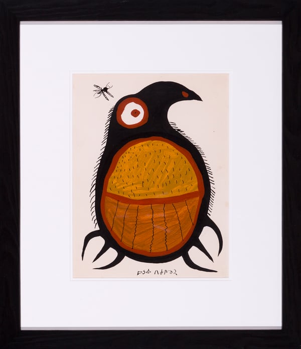 Owl