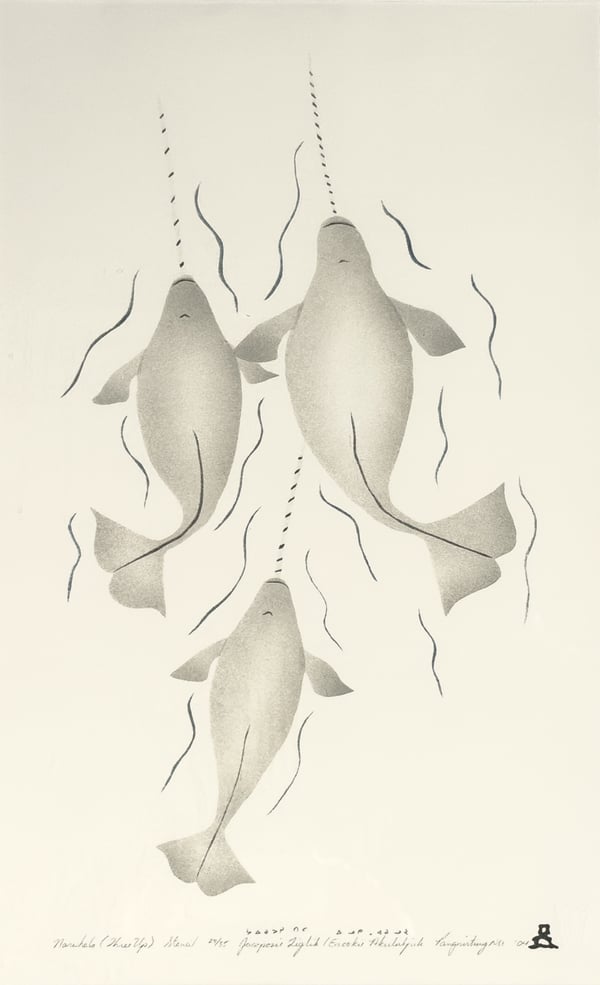 Narwals