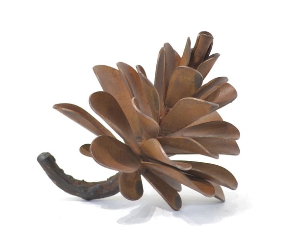 Pine
