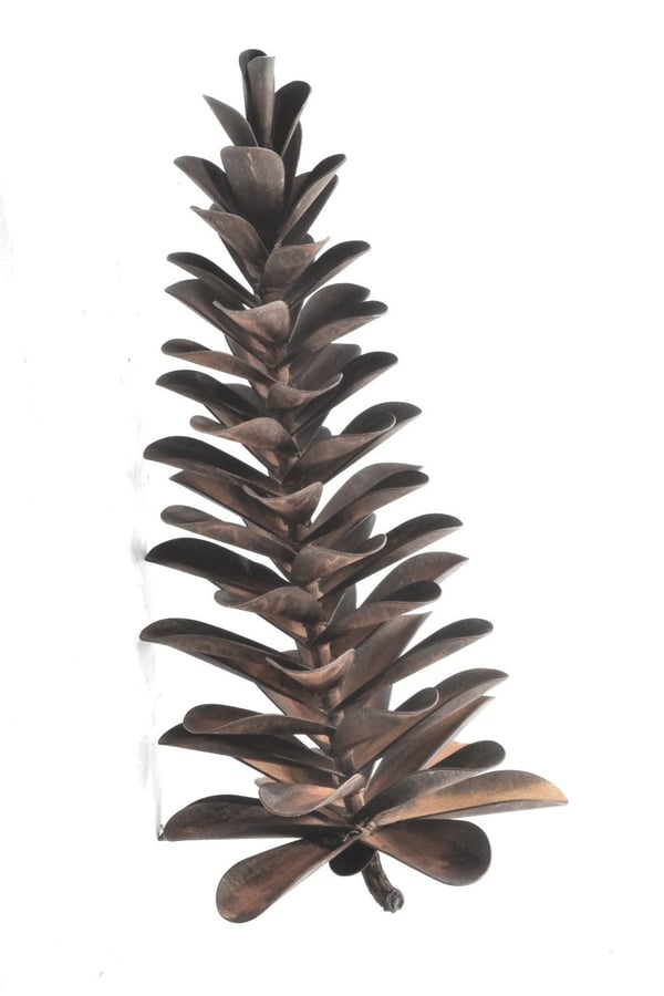 Pine