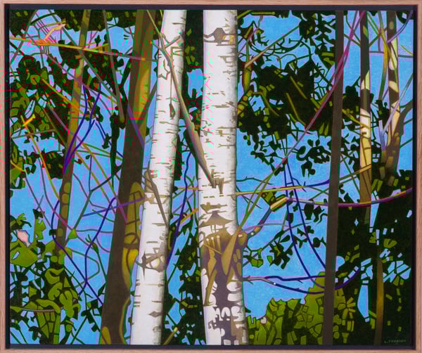 Poplar