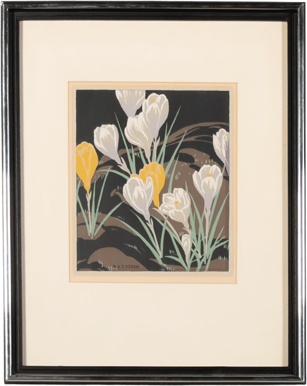 Crocuses