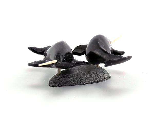 Narwhal