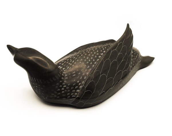 Loon