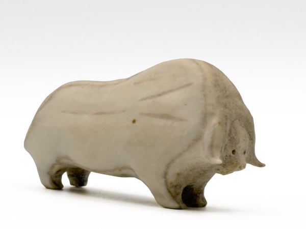 Muskox