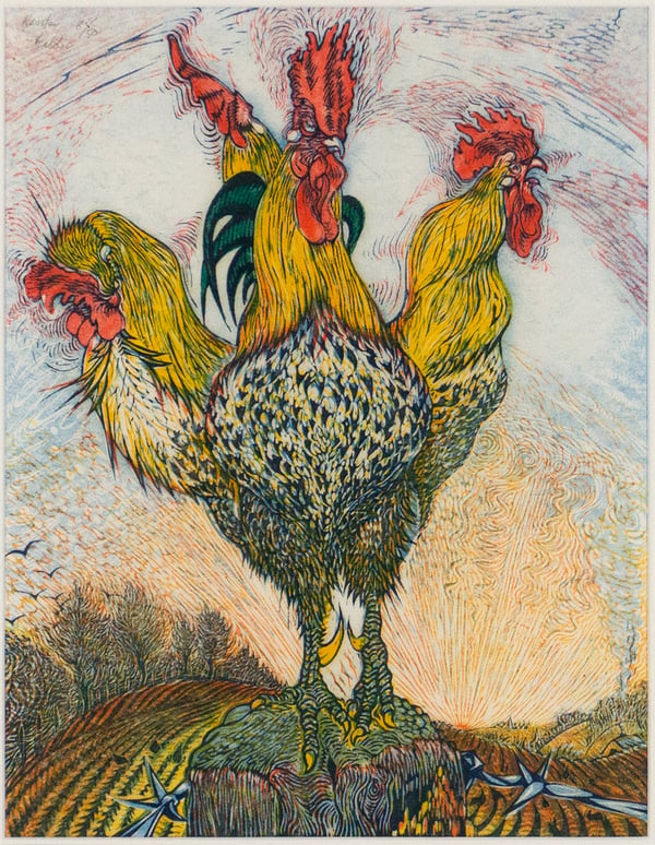 Rooster