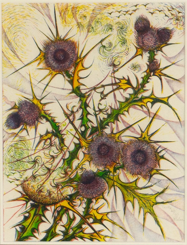 Thistle
