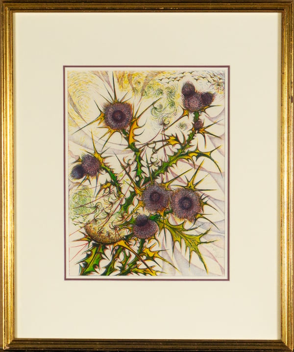 Thistle
