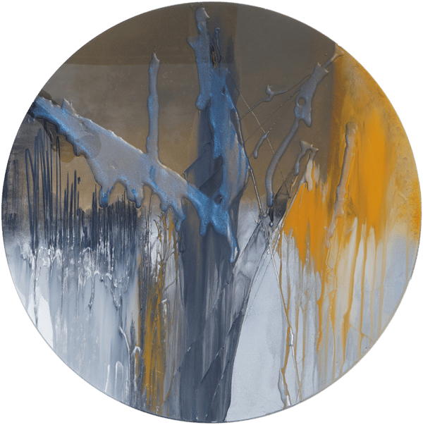 Disc