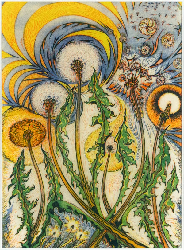 Dandelions