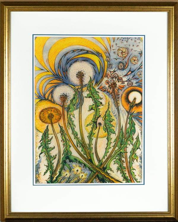 Dandelions
