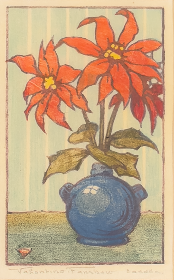 Poinsettia