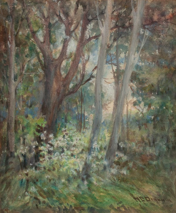 Spring