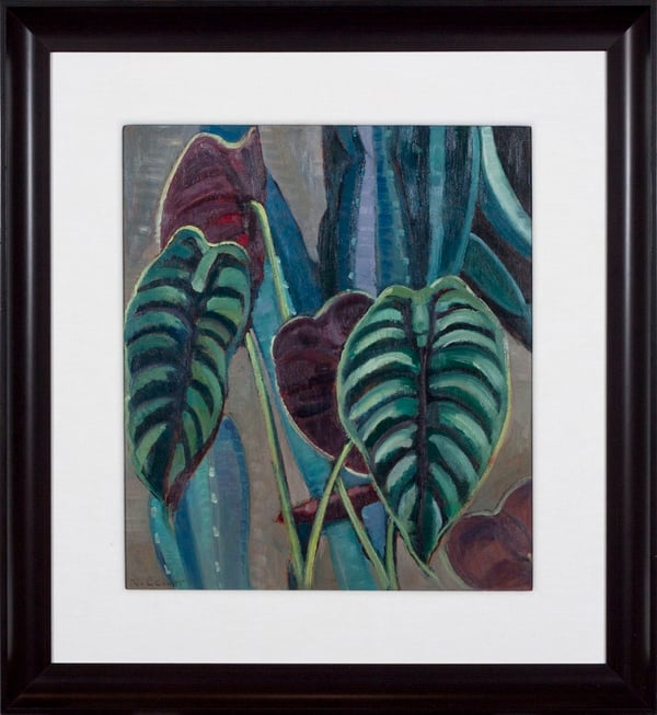 Philodendron