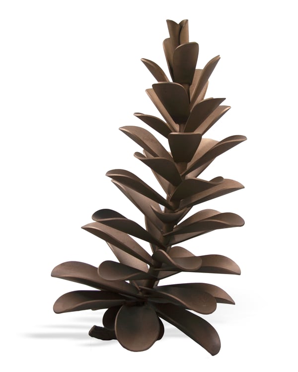 Pine