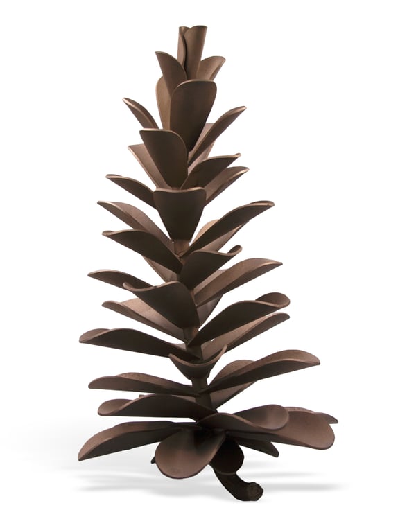 Pine