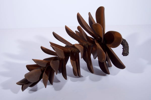 Pinecone