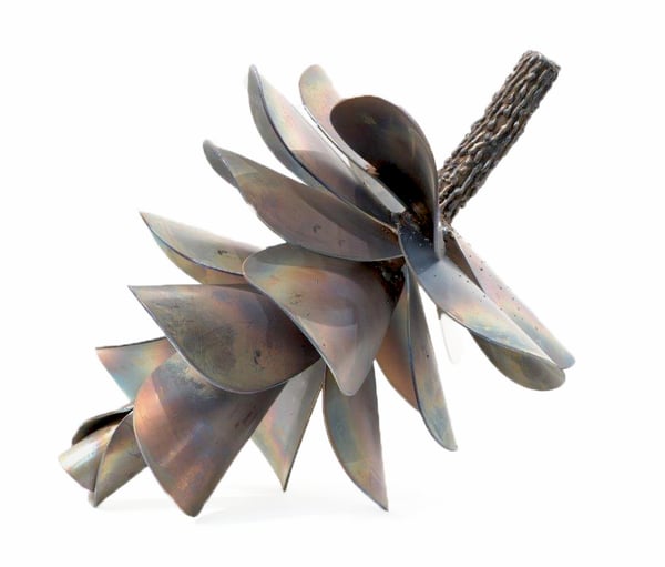 Pine