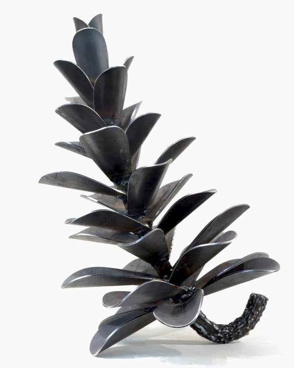 Pine