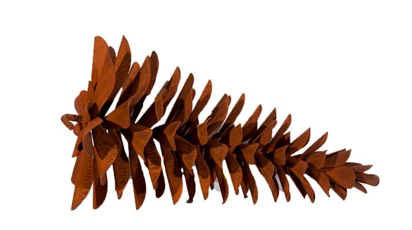 Pine