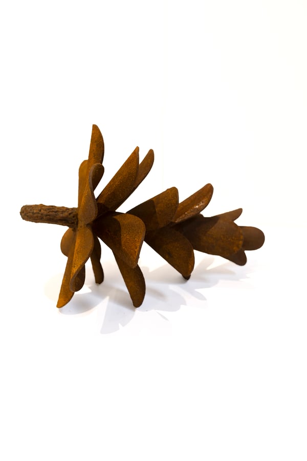 Pine