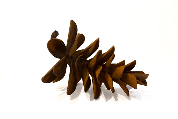 Pine