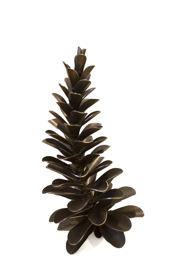 Pine